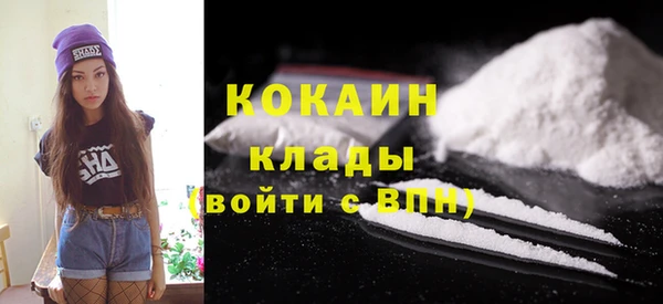 мдпв Богданович