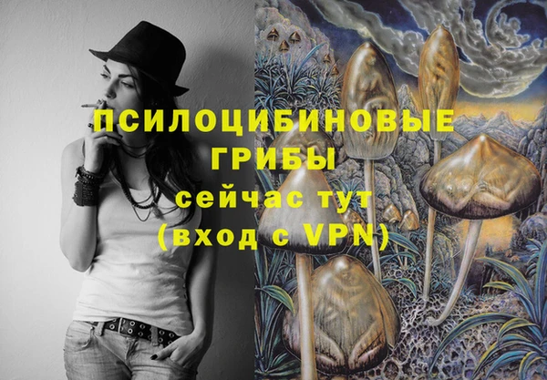 экстази Богородск