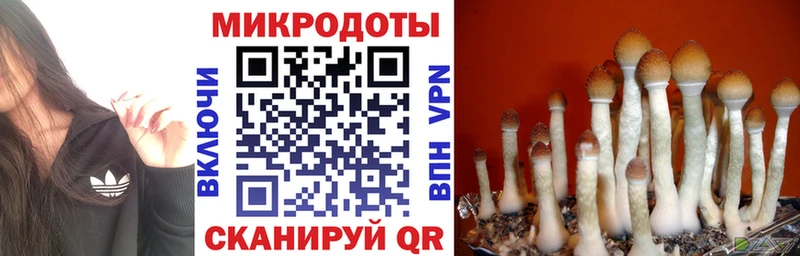 купить  сайты  Ярославль  Галлюциногенные грибы прущие грибы 